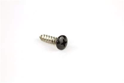 Black Stainless Steel Screws #10 x 3/4" Phillips Head - 25 Pack